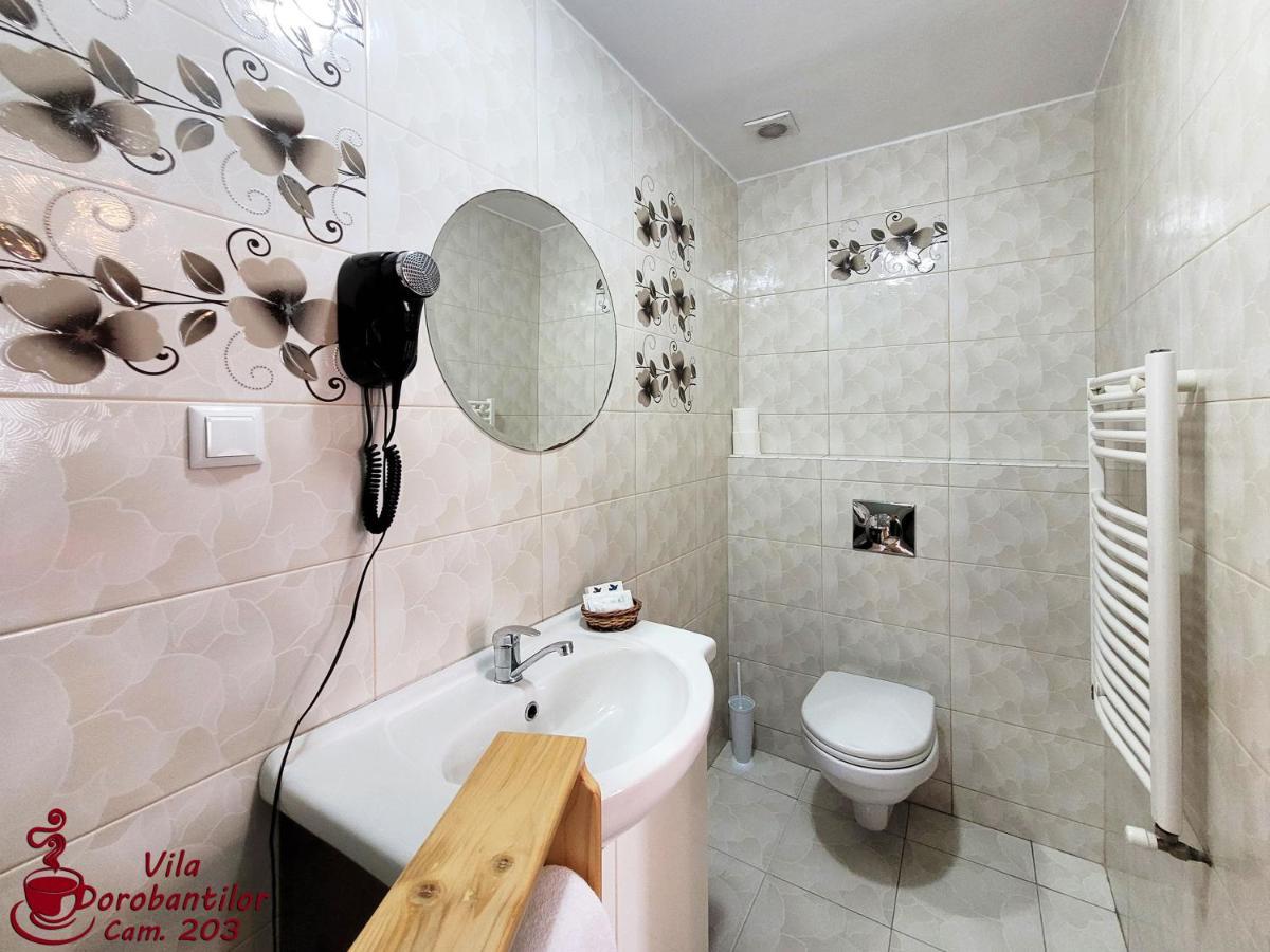 Vila Dorobantilor Cluj-Napoca Esterno foto