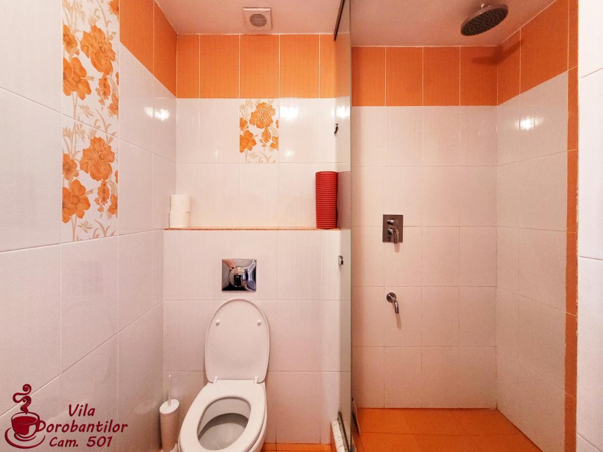 Vila Dorobantilor Cluj-Napoca Esterno foto