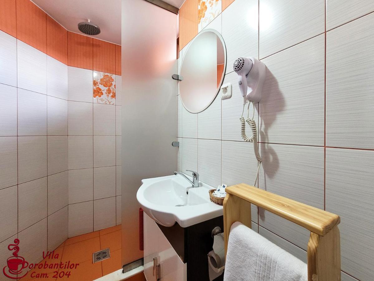 Vila Dorobantilor Cluj-Napoca Esterno foto