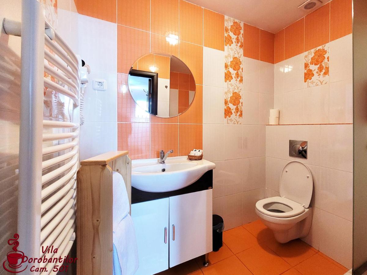 Vila Dorobantilor Cluj-Napoca Esterno foto