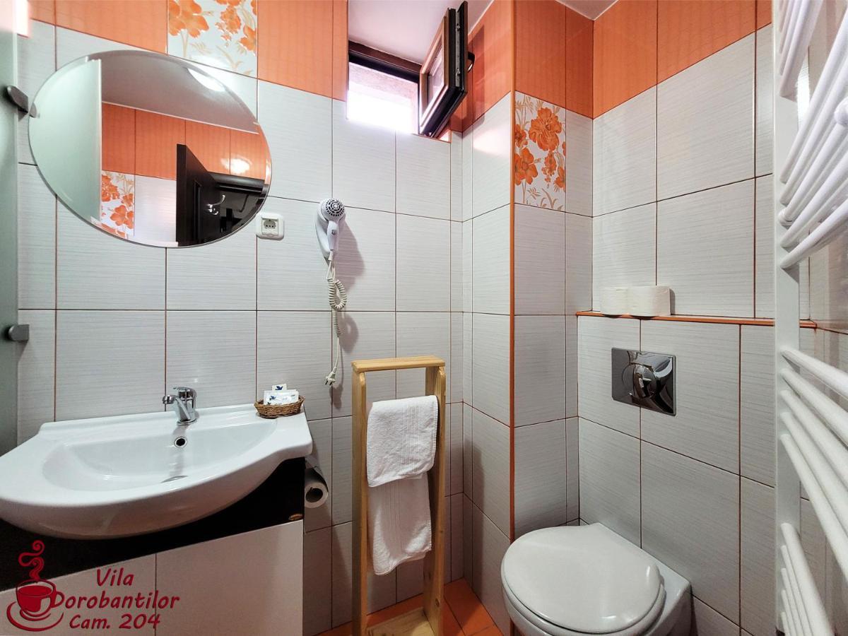 Vila Dorobantilor Cluj-Napoca Esterno foto