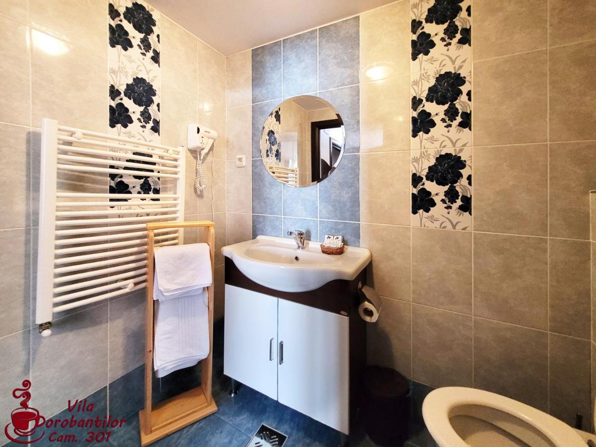 Vila Dorobantilor Cluj-Napoca Esterno foto